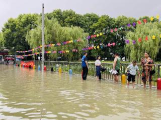 青年汇社区：多方联动攻坚小河倒灌难题，探索基层防汛共治新路径