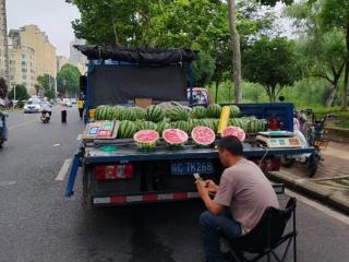 光明顶辟谣|无籽西瓜是转基因食品？专家：此说法不对