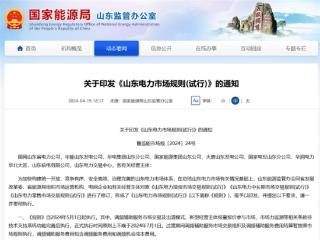 告别“二选一”！山东储能新规重塑行业格局，远景凭AI运营抢占先机