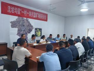 阳信县流坡坞镇召开“一村一块共富田”项目研讨会