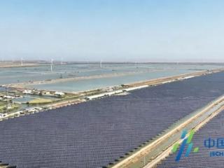 盐城响水：追风揽光踏浪行 逐绿赋能向海兴