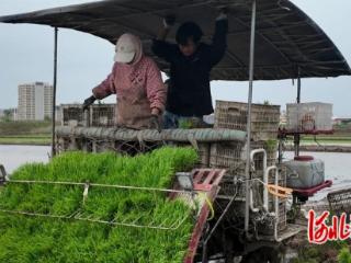 中国匠谷花垣学子开展农业实践活动