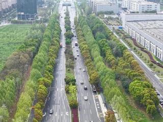全线放行！合肥习友路这一路段正式通车