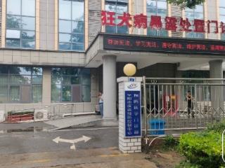 阜阳一狂犬病门诊单日接诊患者超80名