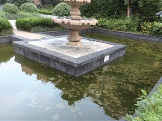 萧山林之语小区水池发绿浮藻密布 业主担忧夏天蚊虫肆虐 物业：死水难清，再想办法