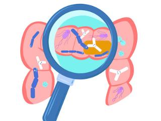 别忽视孩子的隐形健康防线！肠道健康需要呵护好