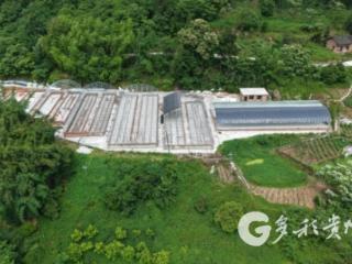 赤水市仙鹤村：闲置资源再利用 特色养殖助民增收