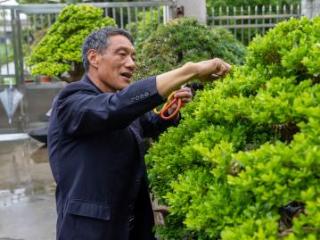 爱栽，美哉！
