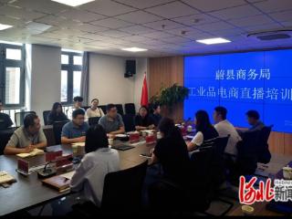 蔚县商务局举办工业品电商直播培训活动