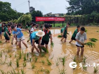 仁怀：深耕劳动教育 点亮成长之路