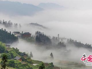 一路黔行：探秘贵州大山深处的有机小镇(图)