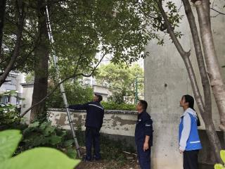 济宁市任城区南张街道悦诚社区：修剪遮挡树枝 点亮居民舒心生活