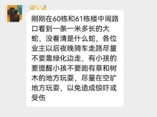 池州有小区蛇出没，物业消防医生支招避险