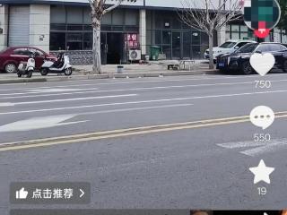 郑州一胡辣汤店门口行道树枯死引质疑 店方回应：投毒传言不实