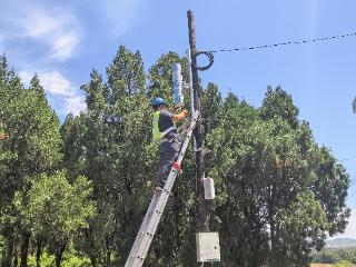 山东泰安东平移动：靶向攻坚破难题 腊山林场通信实现全域提质