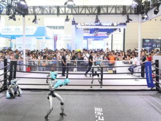 人潮涌动 市民在智博会上触摸“未来生活” 扫码阅读手机版
