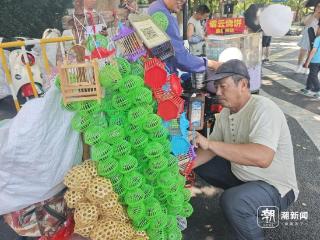 杭州人的老朋友、河北“蝈蝈宋”这两天又出现了！