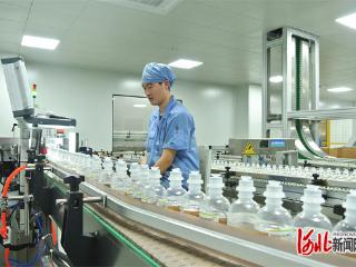 一线见闻｜“人才飞地”破解企业引智难题