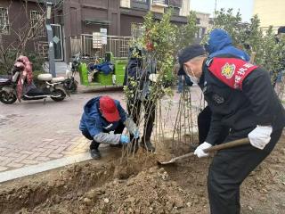 青岛西海岸新区灵珠山街道祁连山路一社区：绿化提质焕新颜，文明新风润社区
