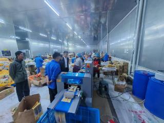 工行六盘水六枝支行：金融赋能兴乡村 擎旗深耕普惠路