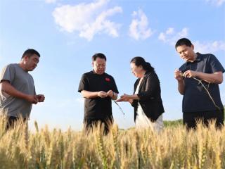 无棣县棣丰街道调研小麦田间管理、“三夏”农业生产筹备及秸秆禁烧等重点工作