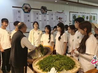 张家界学院打造茶文化实景实践课堂(组图)