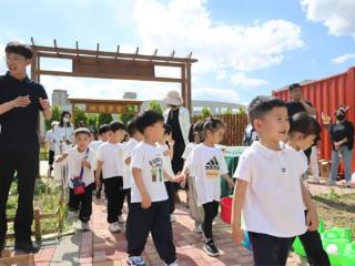 无棣县棣丰街道六一师生采摘·研学农耕主题活动圆满举行
