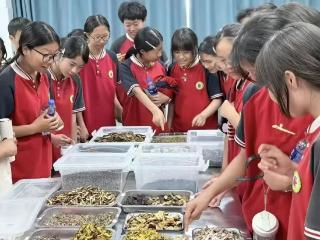 “1.5+1.5”、现代学徒制、校企订单班……郑州医药健康职业学院创新人才培养模式引关注