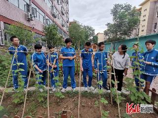 石家庄市第二十八中学生物社团开展跨学科融合实践活动