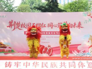 荆楚校园石榴红 湖北大学2026年民族文化节圆满落幕