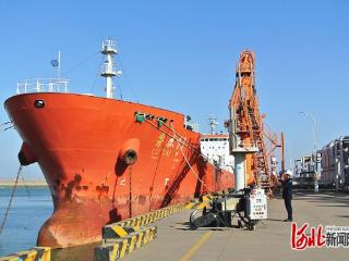 沧州渤海新区黄骅市：共享物流为企业年省上亿元