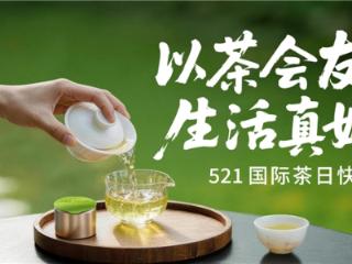 521国际茶日，小罐茶以三年坚守传递茶企温度