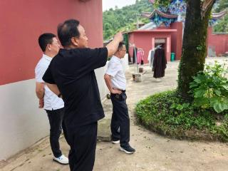 太湖县一株“病危”的百年古枫树接受“急诊”