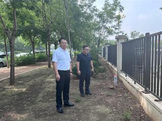 无棣县棣丰街道开展沿街围栏绿化及城市花海建设专题调研