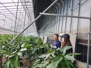 【核心价值观我践行】招远阜山镇政府举办农业设施安全专题培训 筑牢阜山农业生产“防护墙”
