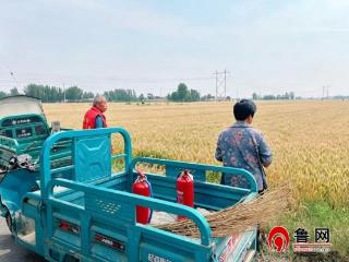 德州市陵城区于集乡：筑牢麦收防火安全防线 护航三夏丰收平安有序