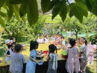 淄博市淄川区柳泉幼儿园：乐享自然游戏 赋能幼儿成长