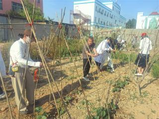 滨城区三河湖镇卫生院开展百果园建设 以特色举措优化医疗服务环境