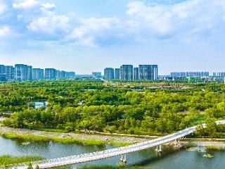 企业、高校云集，解锁郑州航空港“留量”密码