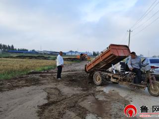 闻汛速行动 抢险保民生——德州市陵城区丁庄镇全力开展雨后灾情排查及处置工作