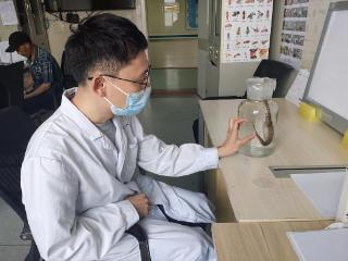 多人受伤，河南已进入蛇咬伤高发期！31家机构可提供抗蛇毒血清