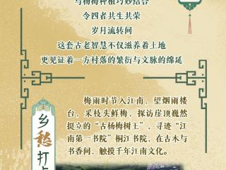 【节气里的大美中国】长图｜芒种看今日！解码藏在耕作盛景里的智慧与文化