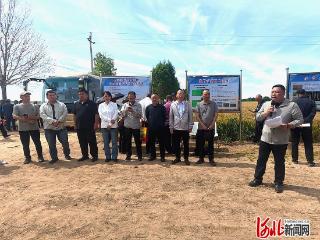 节水高产新标杆 衡麦30破解种植大户浇水难高产难双重难题