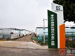 初夏蔬果迎丰收——智慧农业赋能枣庄中垦盛达产业园助力乡村振兴
