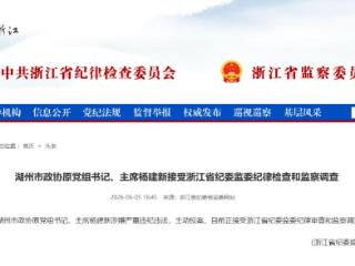 湖州市政协原党组书记、主席杨建新主动投案