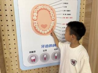 护牙小事 关乎岁岁欢喜 济南历下三幼开展幼儿园爱牙健康主题活动