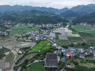 播州区：深耕“三农”沃土 绘就现代农业新图景