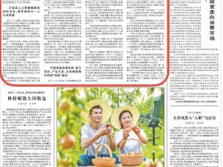 “一人公司”何以“一人成军”？人民日报点赞杭州