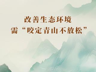 学习手记｜改善生态环境需“咬定青山不放松”