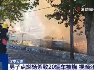 男子点燃杨絮致20辆车被烧该如何定责？专家解读